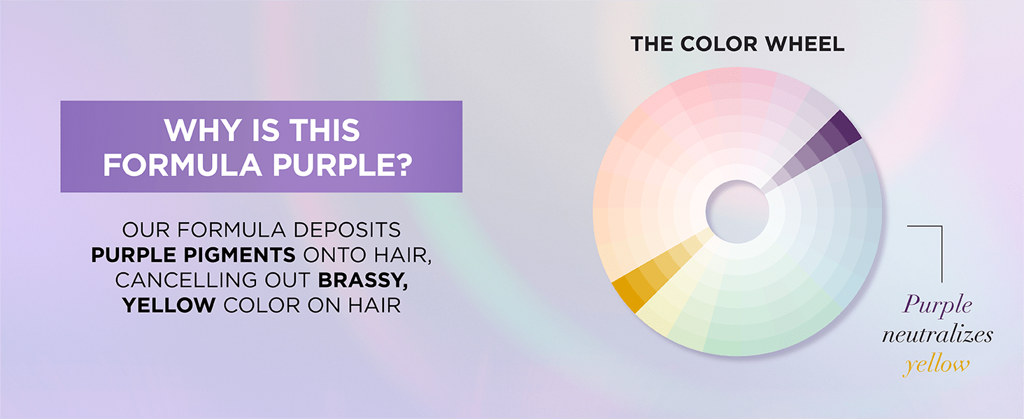 LOreal Haircare EverPure Purple Fullmg D 3 3A Min